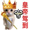 jhfhkk-【TITAIKE】T太科网
