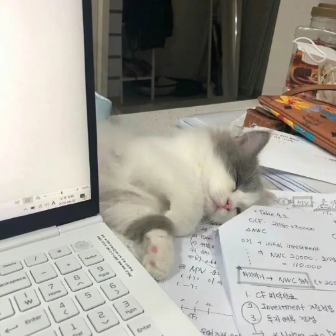 qq_︶ㄣ闲言碎语84