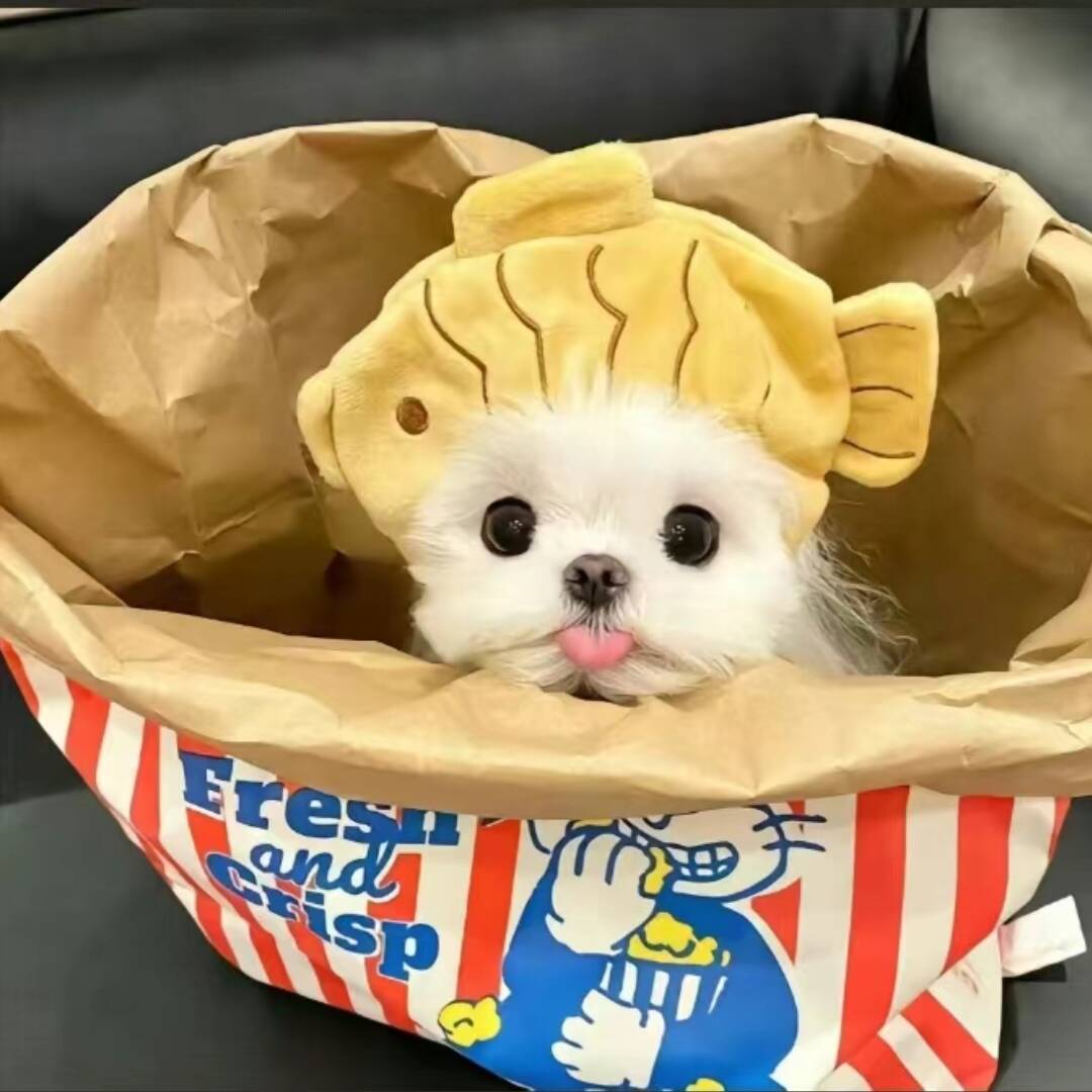 qq_doki85