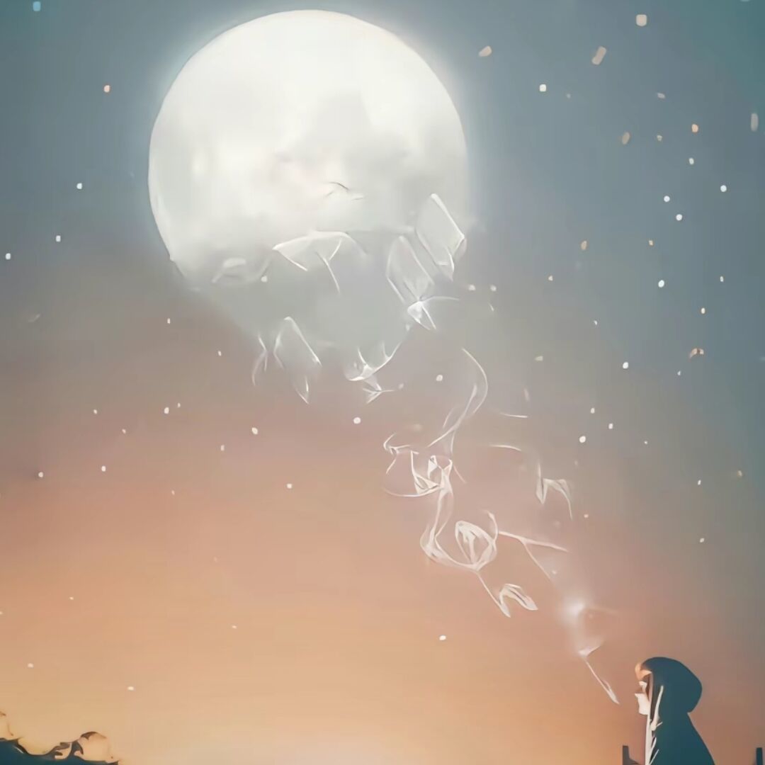 qq_空24