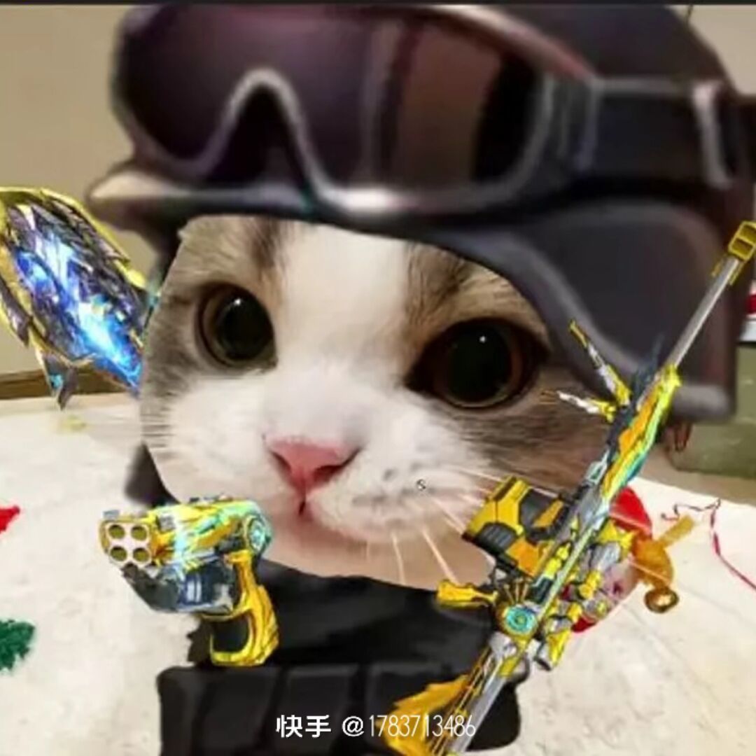 qq_……30