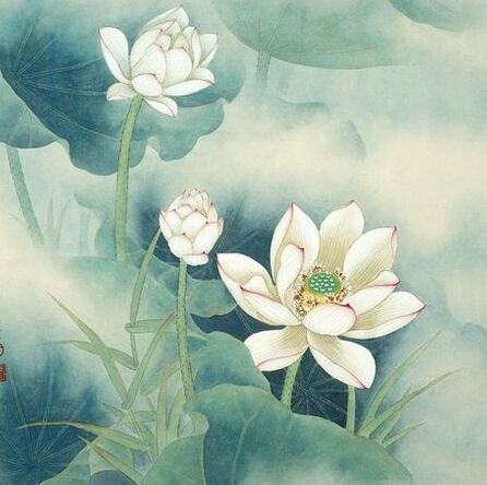 qq_燕来杨柳89
