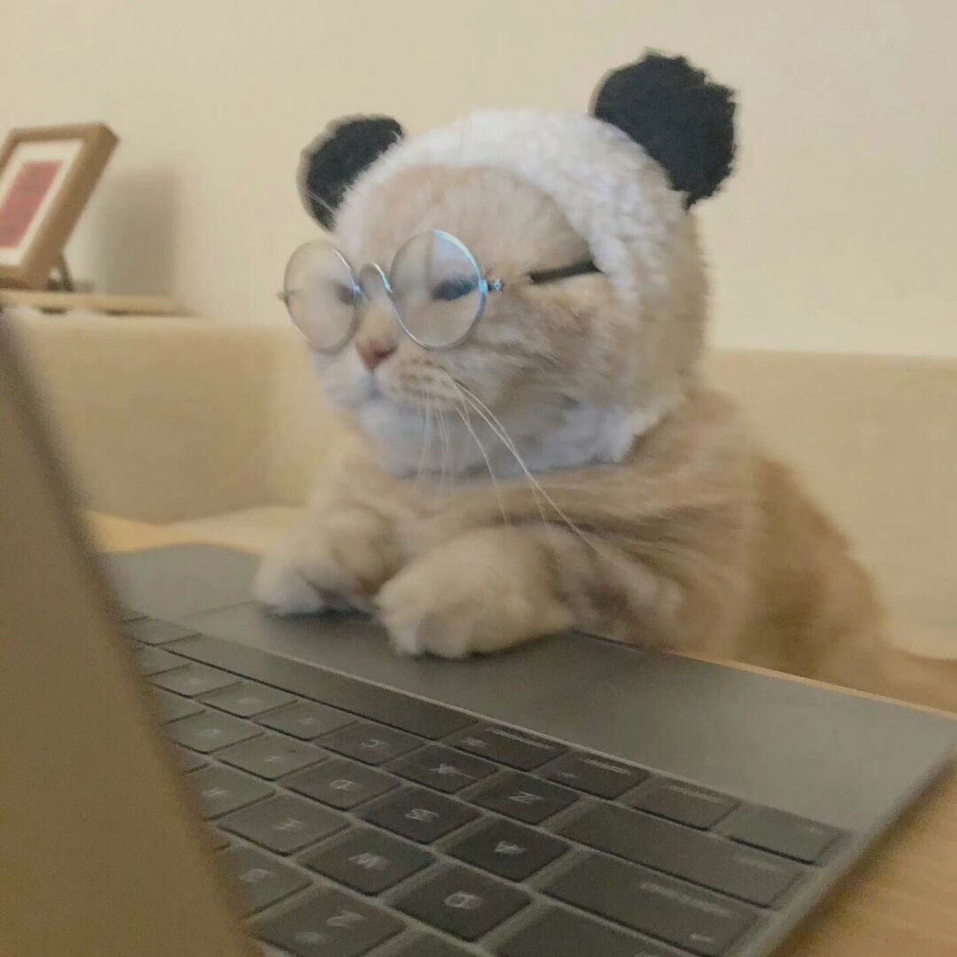 qq_W95