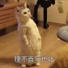 天黑了 ，作者玩机公社-玩机公社