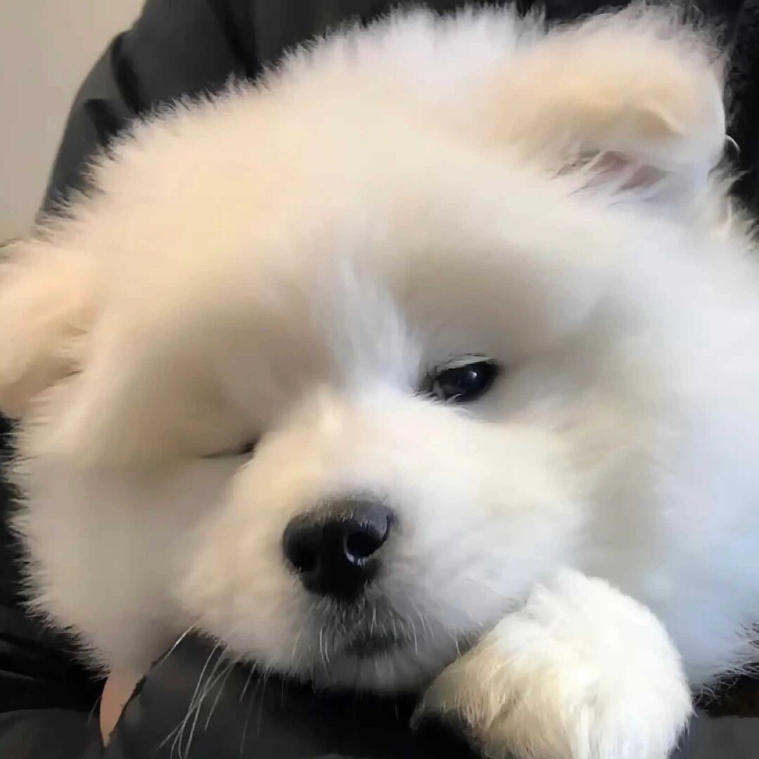 qq_鑫29