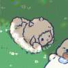 123213l-【TITAIKE】T太科网