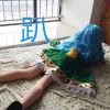 四季映姬