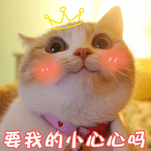 qq_一条小圆圆、35