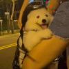 爱冒险的飞机-【TITAIKE】T太科网