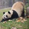 ⊙o⊙-长游分享网