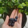 精品共赢-嗨皮网-Hpeak.net