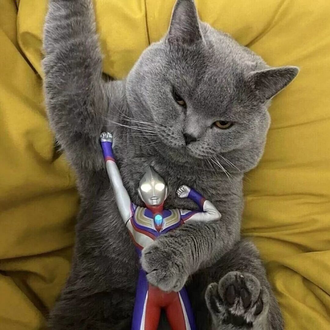 qq_.69