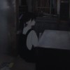 Tylkior-【TITAIKE】T太科网