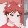 sydmy-【TITAIKE】T太科网
