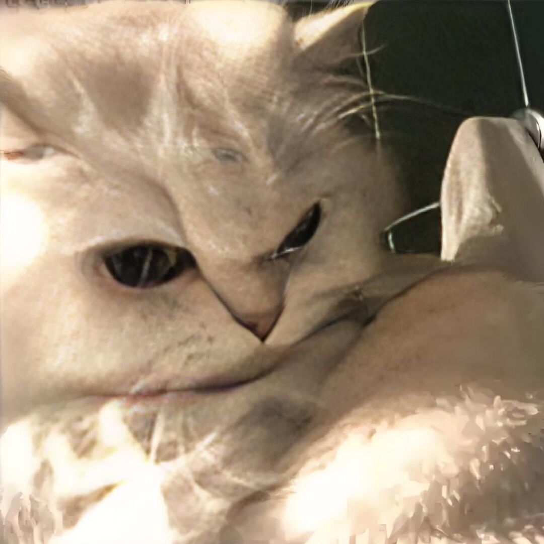 qq_夜佰忧.24