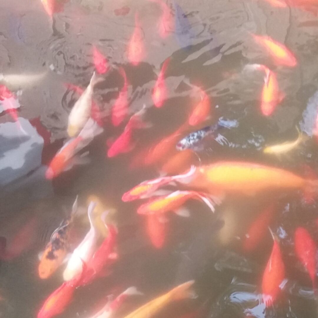 qq_好聚好散79