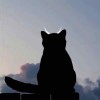 Rain2U-【TITAIKE】T太科网