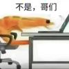 xyz77-【TITAIKE】T太科网