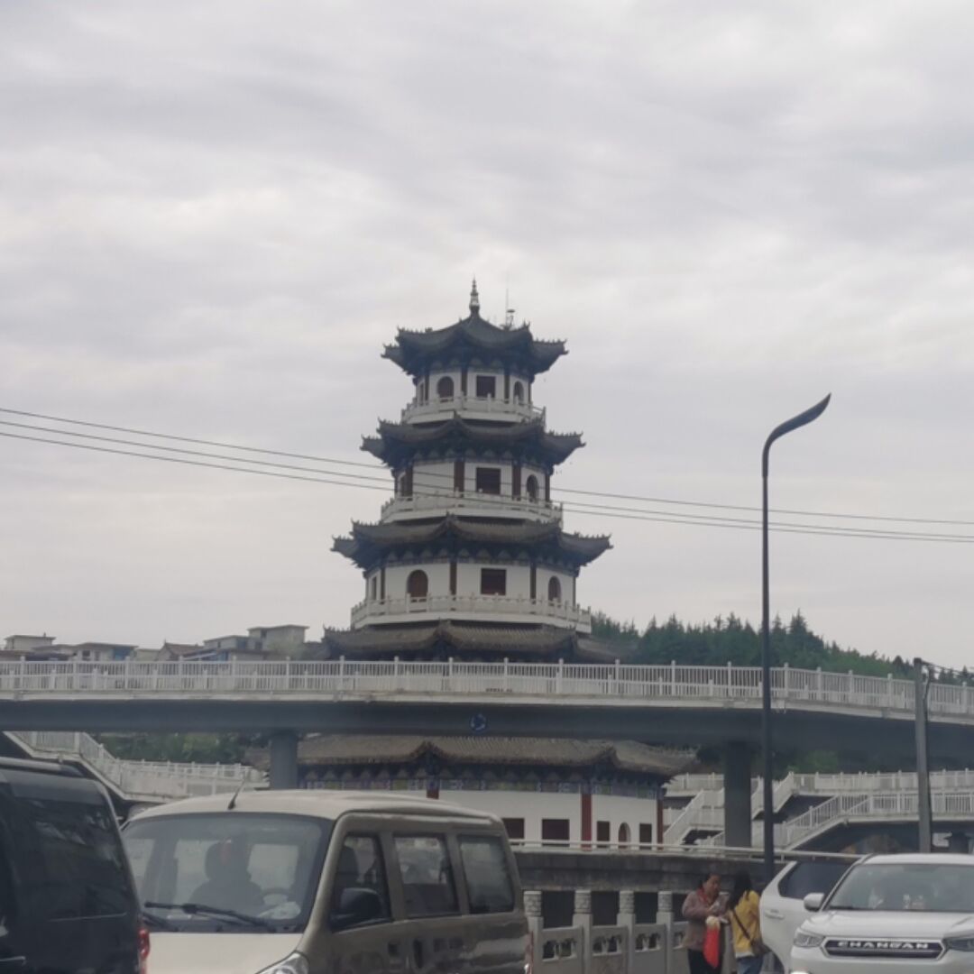 ?小马哥??