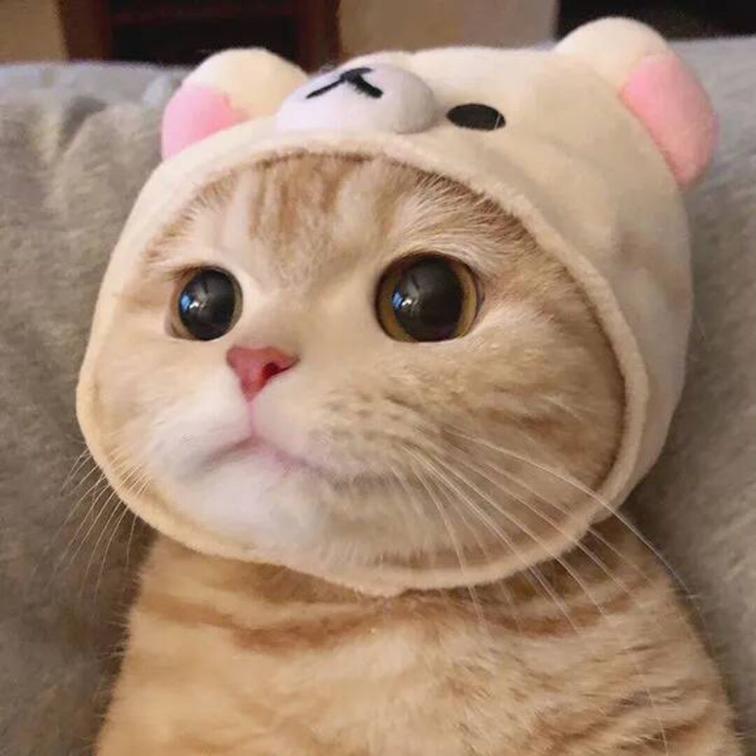qq_初见43