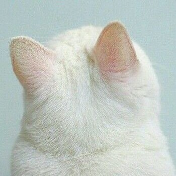 静