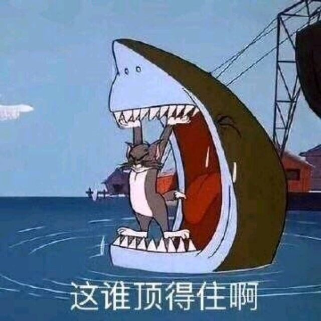 qq_W85