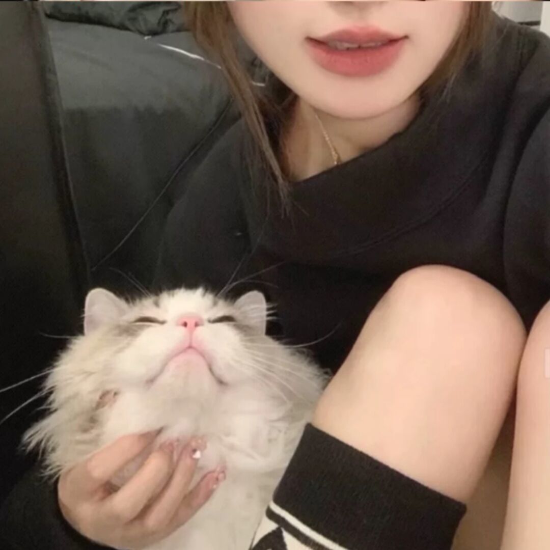 qq_L84