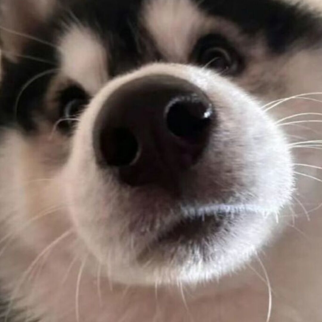 阿龙