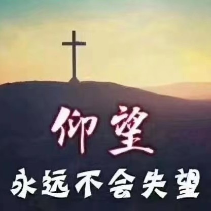 qq_政74