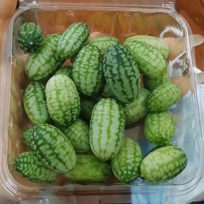 qq_A诚信81