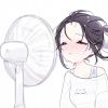 北方的后海没有海
