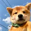 wwwwww123-【TITAIKE】T太科网