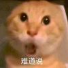 2644166621q-【TITAIKE】T太科网