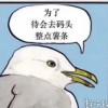 licus-【TITAIKE】T太科网