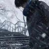 é£å¼