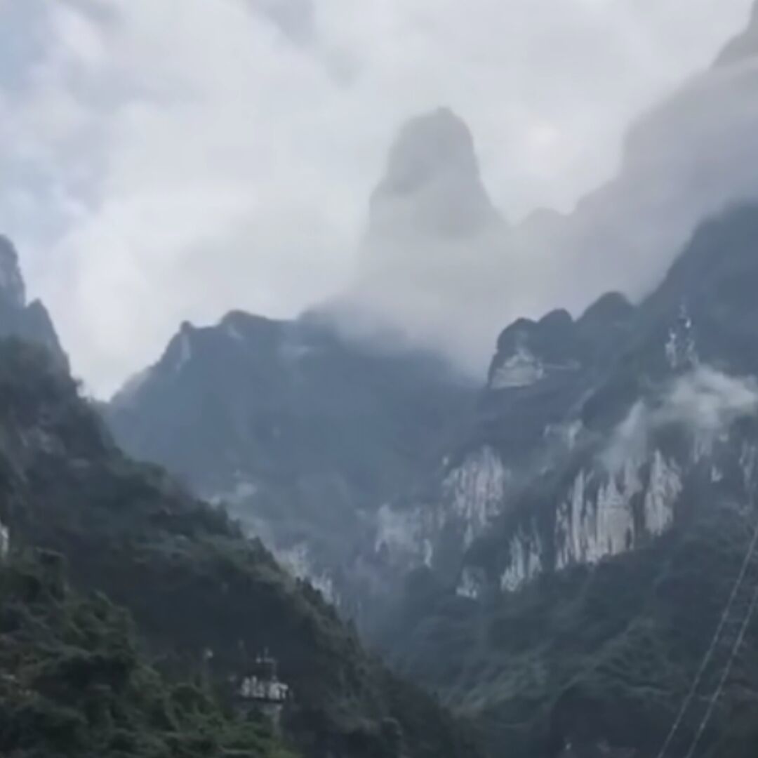 qq_承诺136862