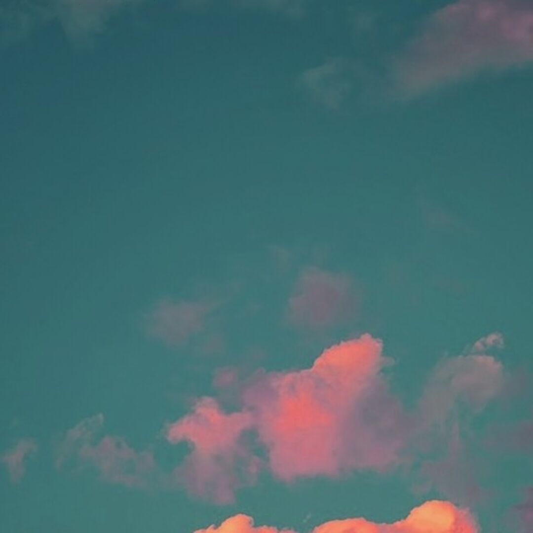 ღ˶⍤⃝˶