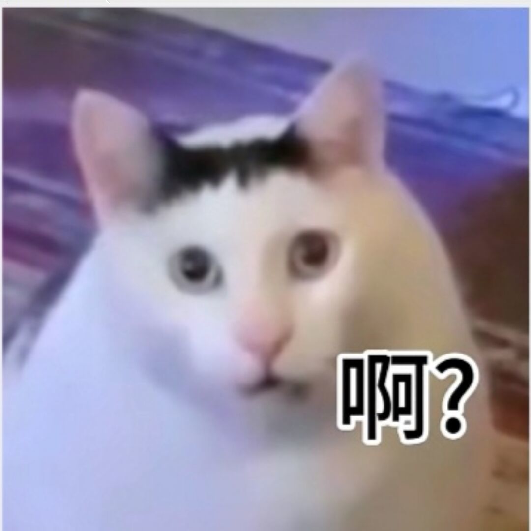 qq_别装了94