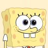 SpongeBob123-【TITAIKE】T太科网