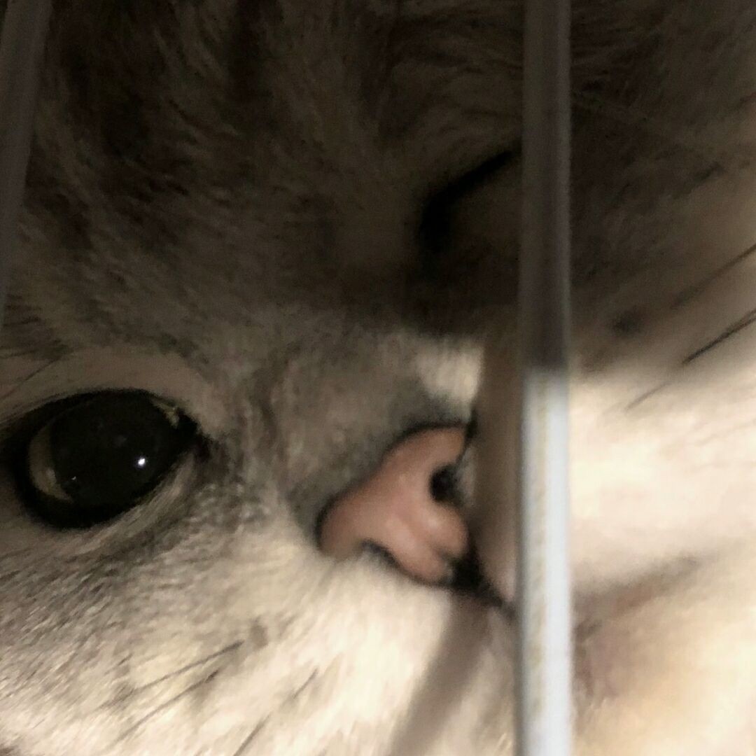 w.