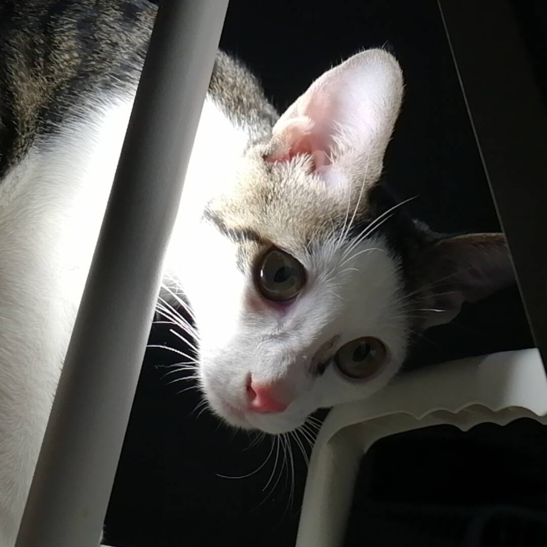 qq_周侗75