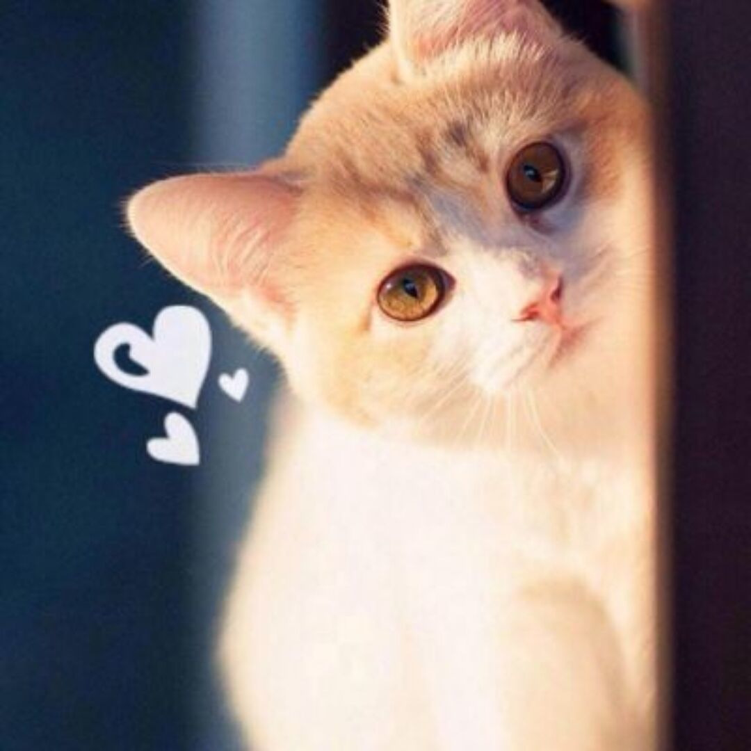 qq_壹16