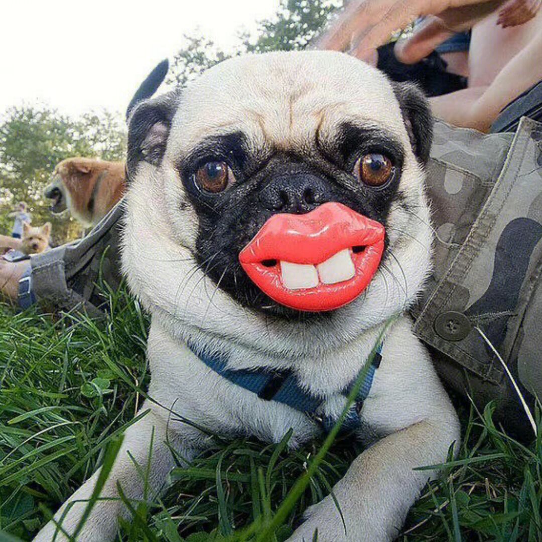 qq_我把话廖这72