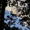 人心-【TITAIKE】T太科网