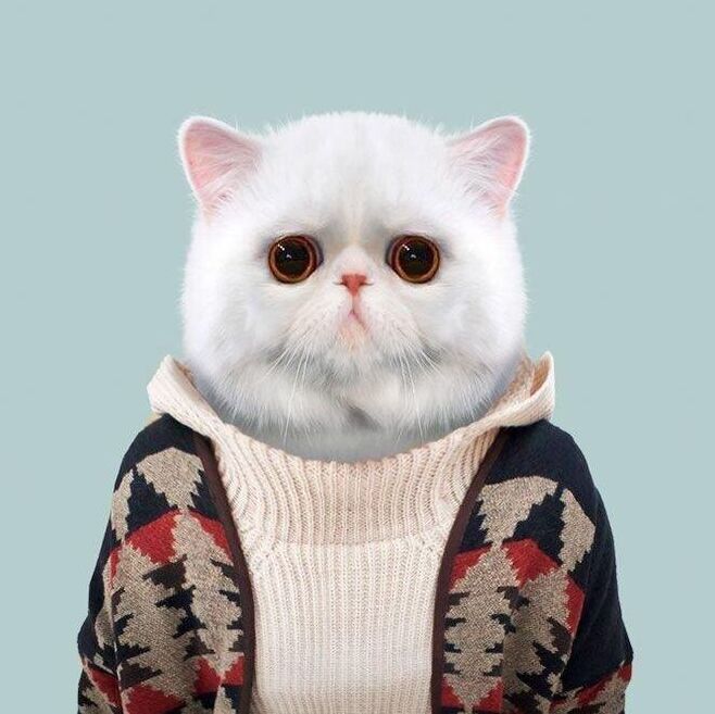 设计③-小费Minty