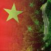 swcgo-绿软部落