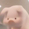 飞猪-【TITAIKE】T太科网