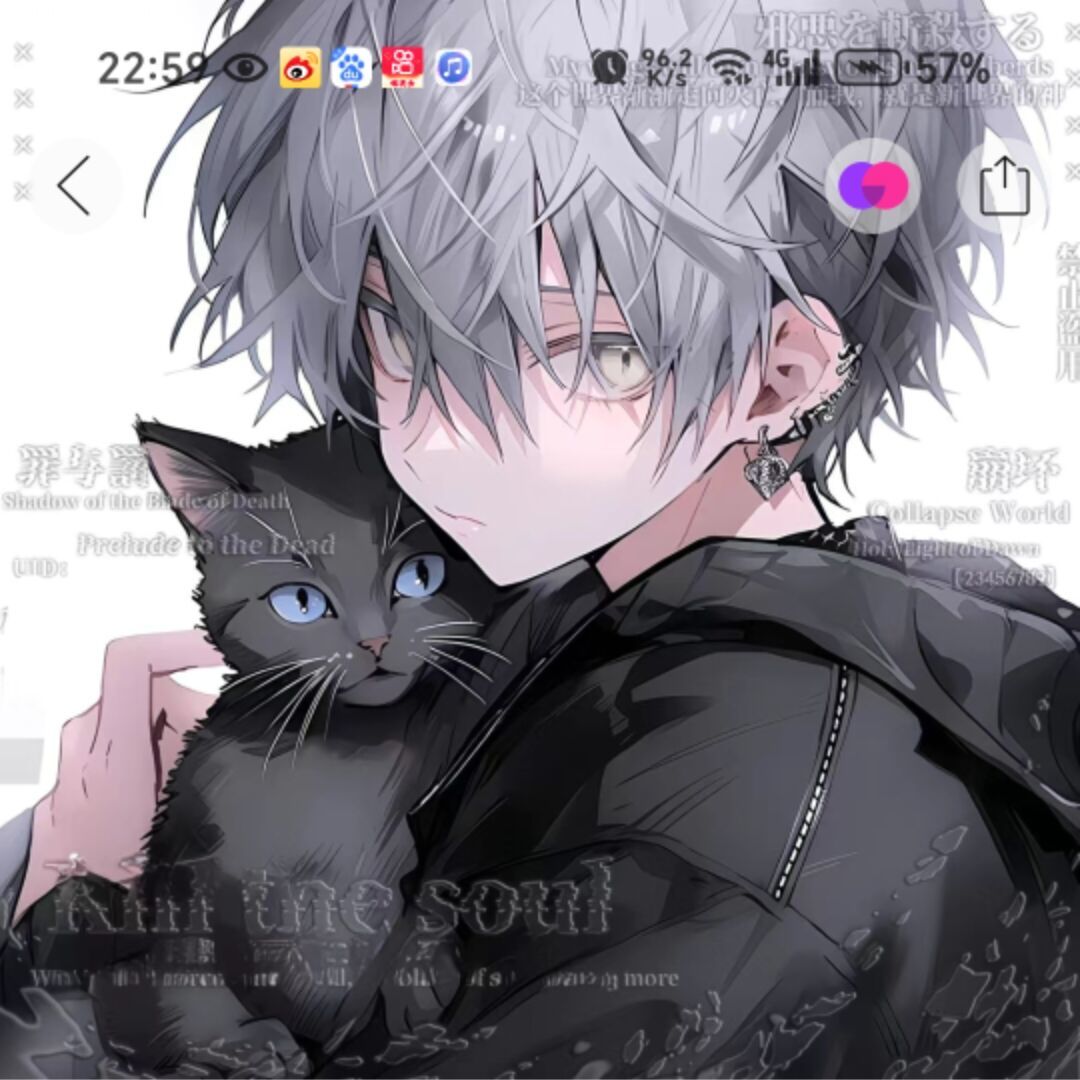 qq_海46