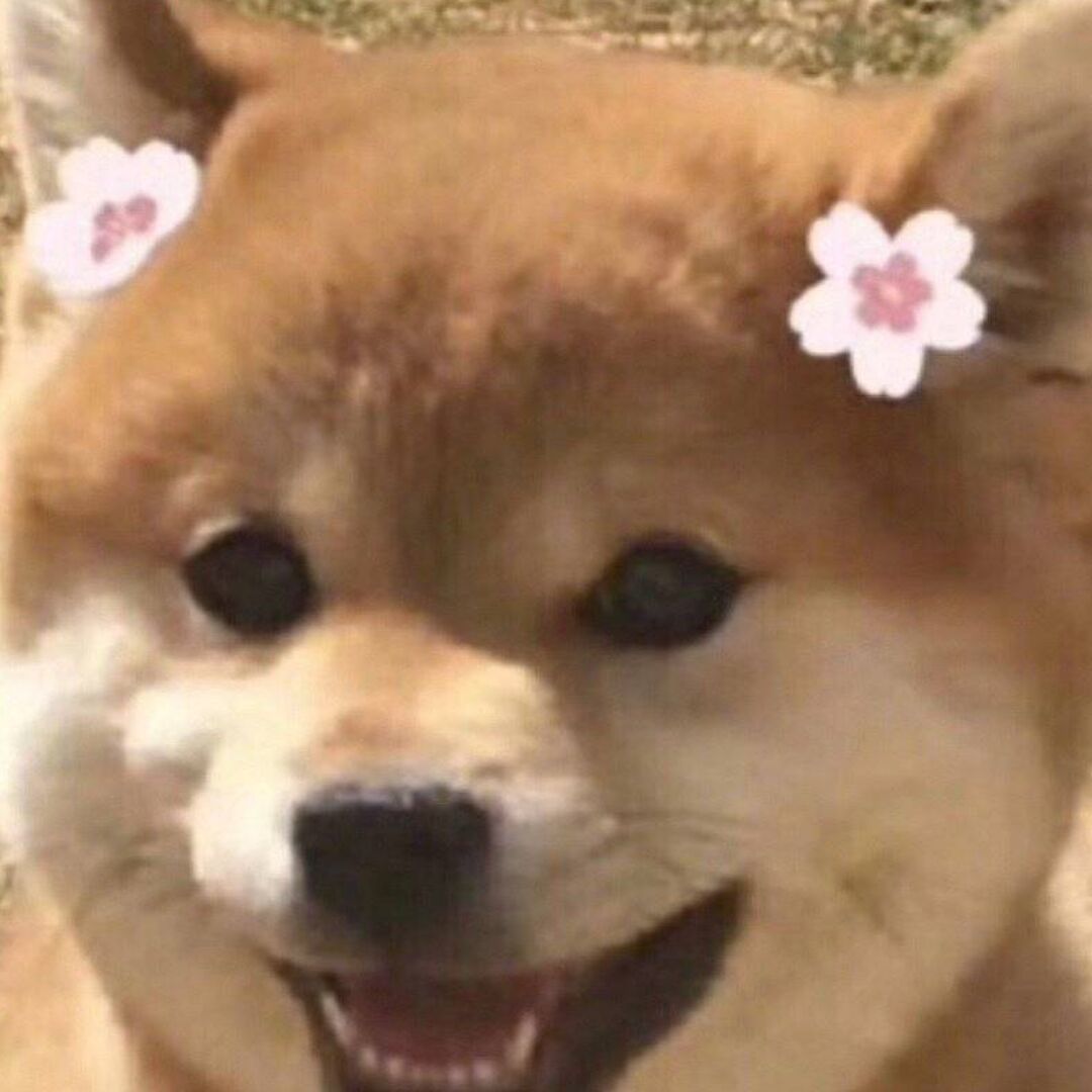 ☆吴憨憨☆