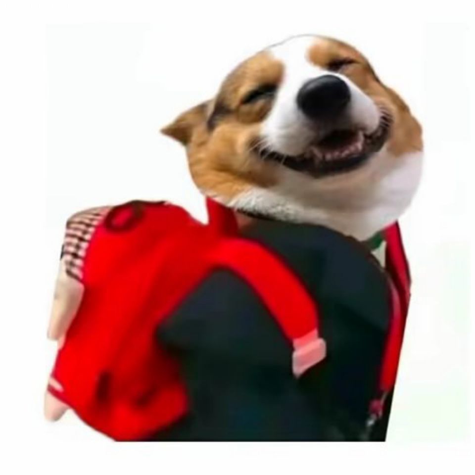 用户头像